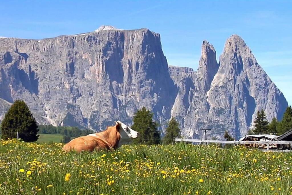 Fantastico Monolocale In Siusi Sciliar Exterior foto